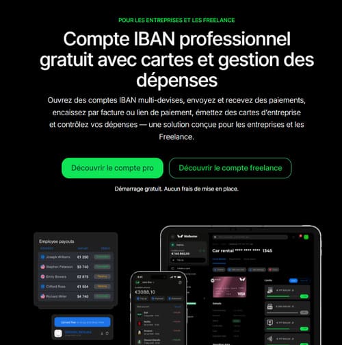 wallester-avis-compte-pro